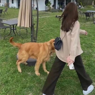 你并不孤单